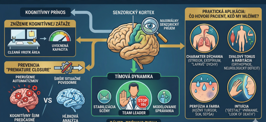 Vedomé diagnostické pozorovanie a využitie ticha ako klinického nástroja v urgentnej medicíne